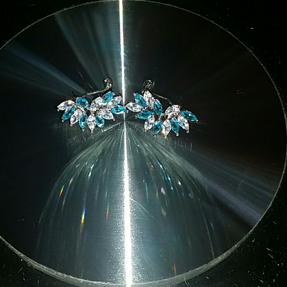 Sterling silver earrings with blue and white Cryst