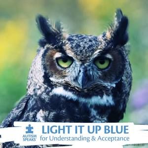 Meet your Posher, Sandi