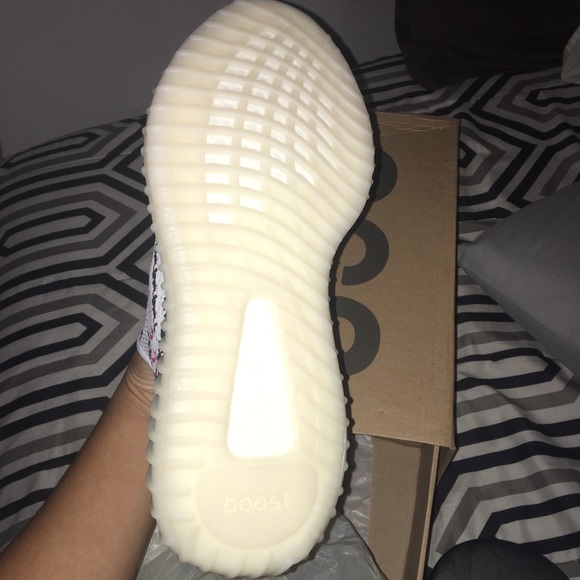 Zebra Yeezys - Picture 4 of 4