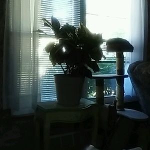 Meet your Posher, Gloria