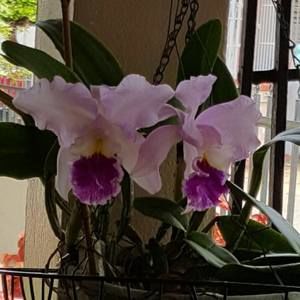 Meet your Posher, Marta