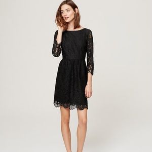 NWOT loft scalloped lace dress