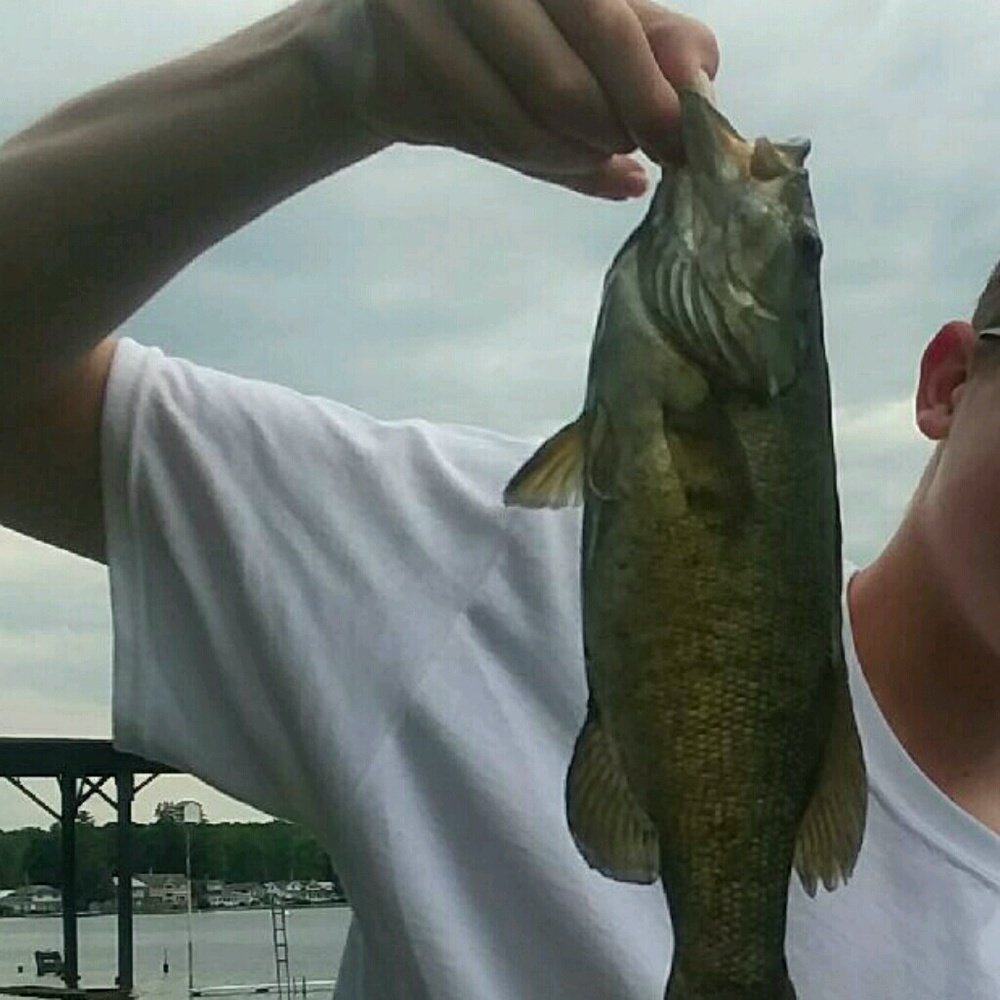 Meet your Posher, Evan