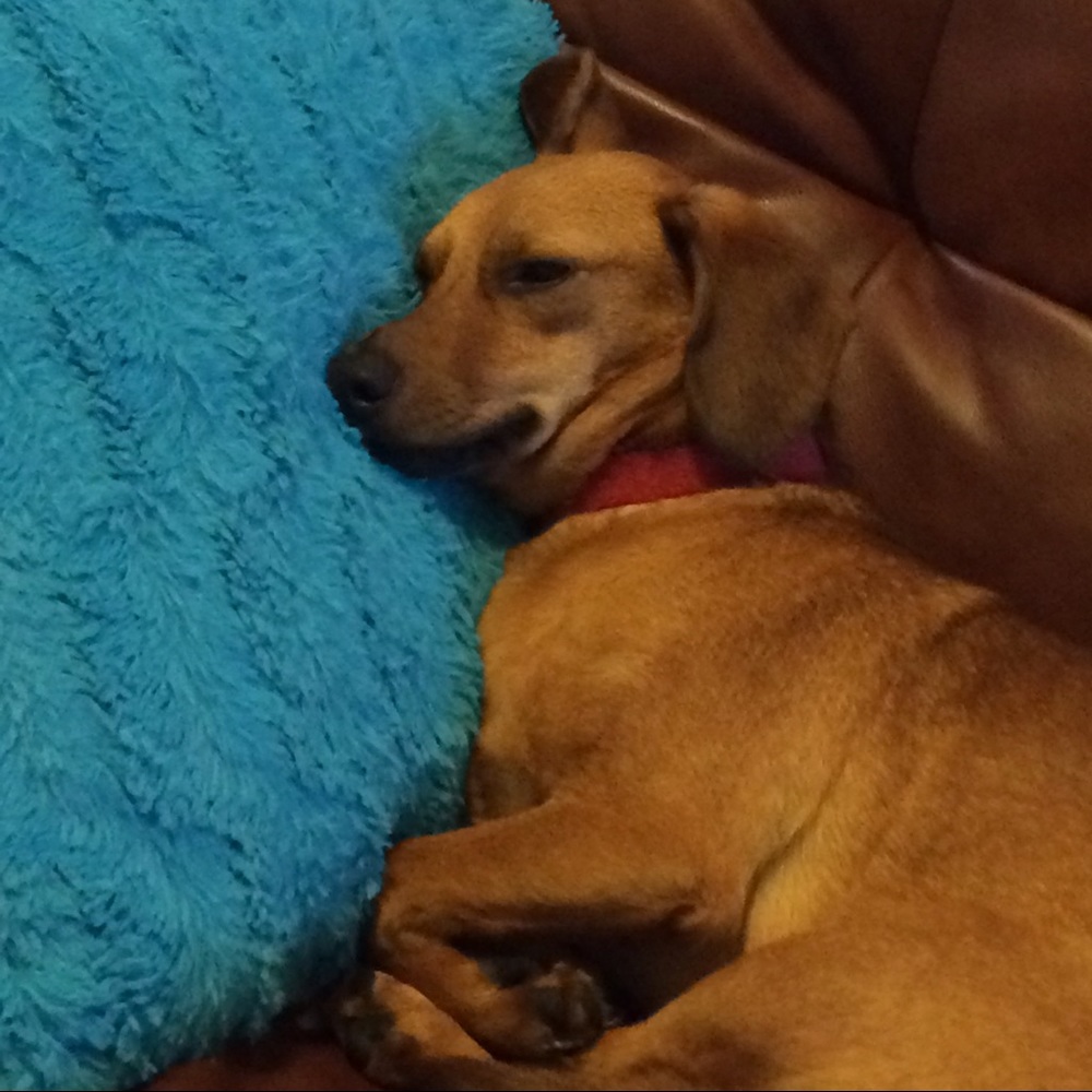 Meet your Posher, Soraya