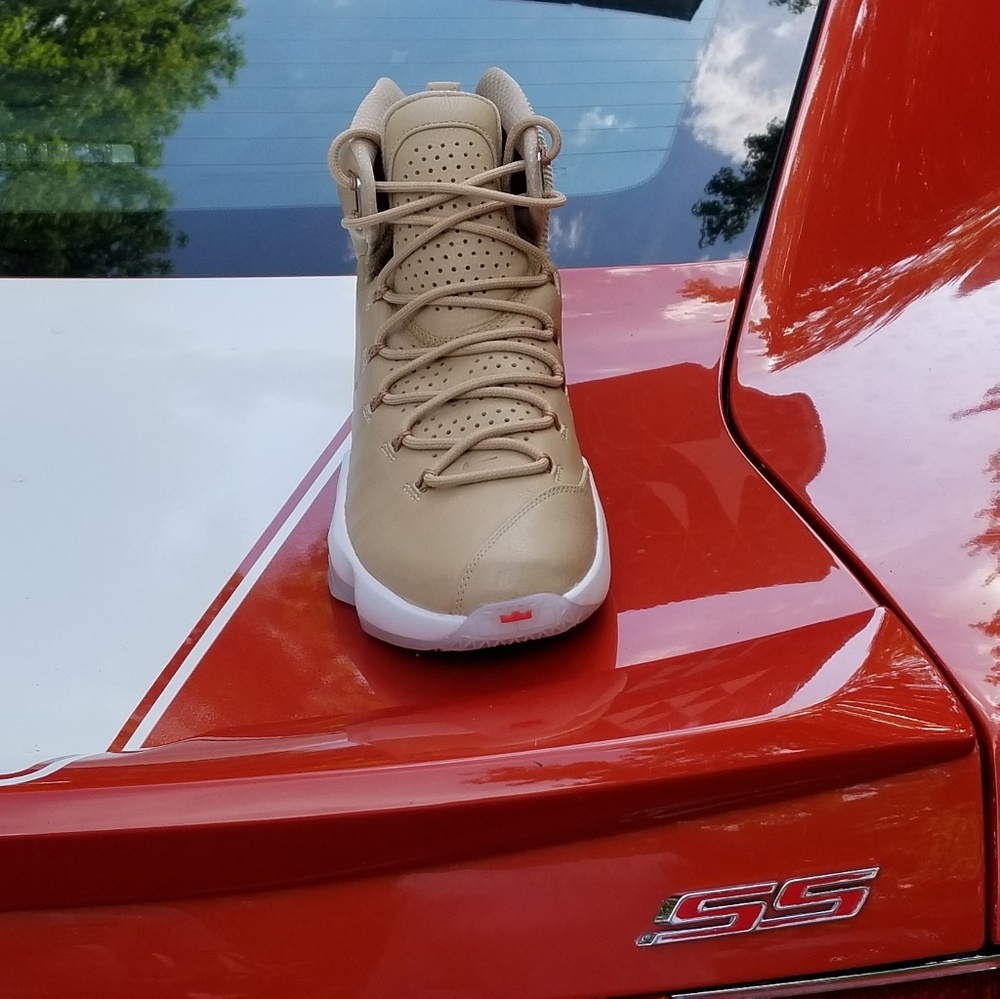 LeBron 13 ext - Picture 4 of 4
