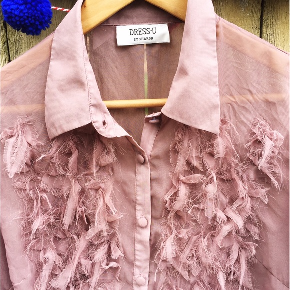 5/$25 💙 Sheer romantic mauve ruffle blouse 💙 - Picture 2 of 3