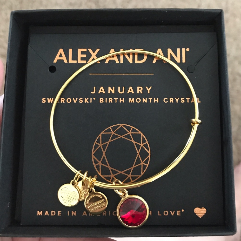 NWOT Alex and Ani bracelet, January birthstone