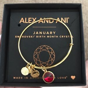 NWOT Alex and Ani bracelet, January birthstone