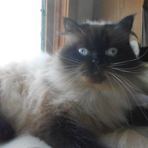 Meet your Posher, Nancy