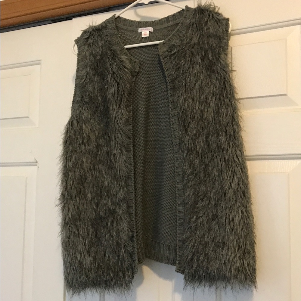 Gray Furry Vest
