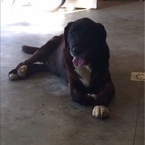 Meet your Posher, Avery