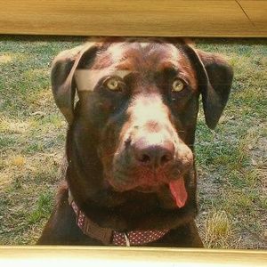 Meet your Posher, Anne