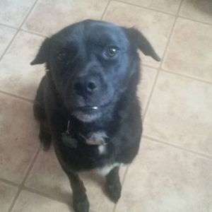 Meet your Posher, Jacob