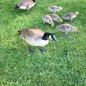 Meet your Posher, Larry