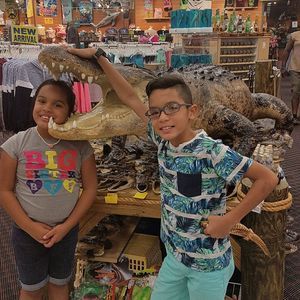 Meet your Posher, Selimaris