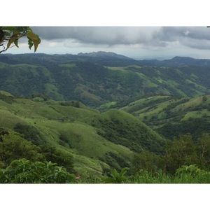 Meet your Posher, Latrice