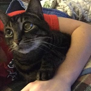 Meet your Posher, Melissa