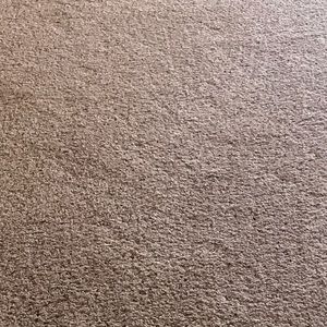 Meet your Posher, Laney