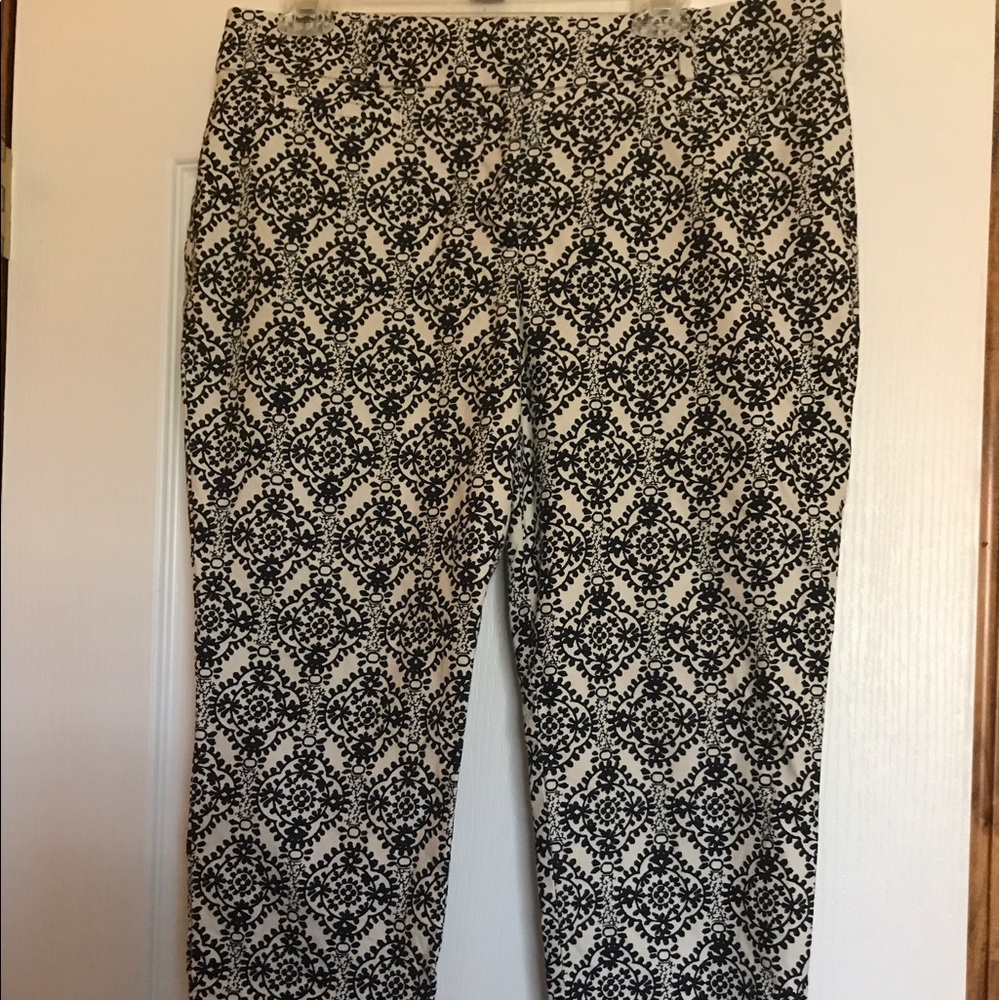 Loft Cropped Pants
