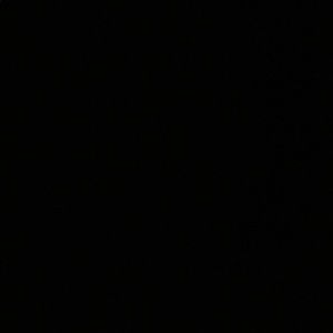 Meet your Posher, Evie