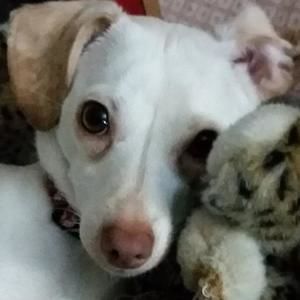 Meet your Posher, Crystal