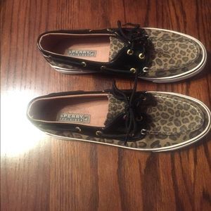 Cheetah Sperrys