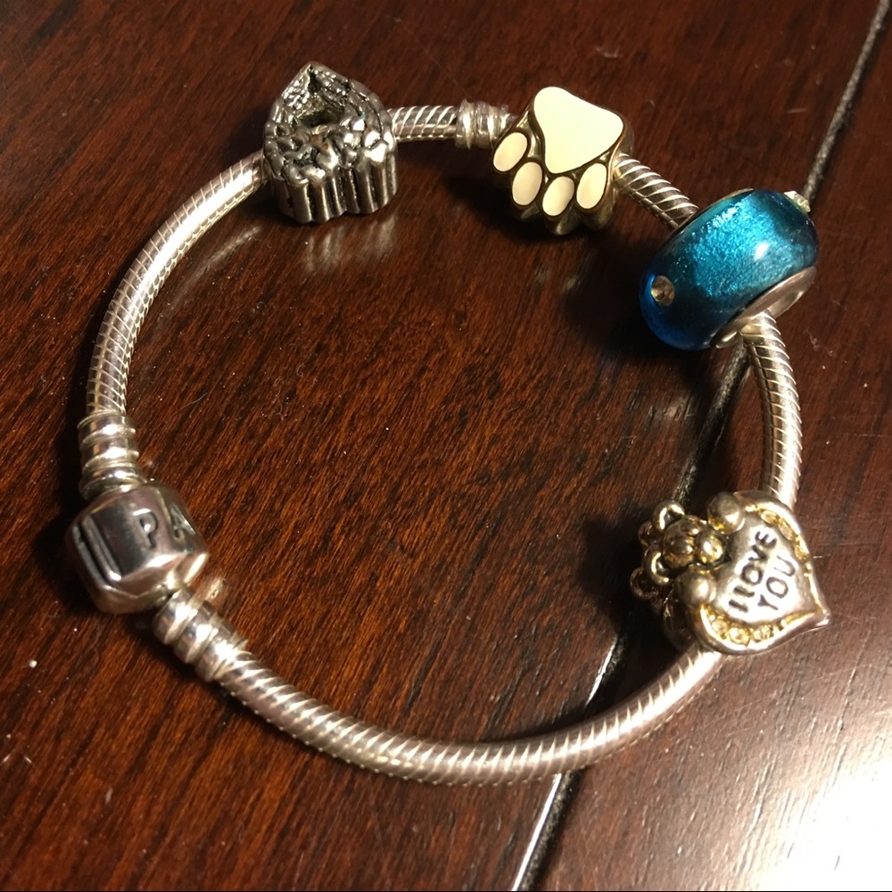 Pandora bracelet & Charms