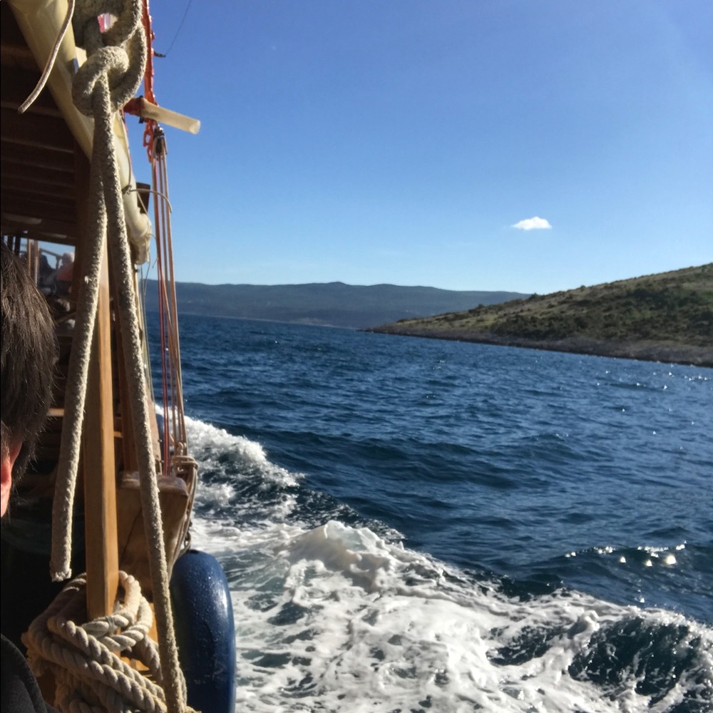 Meet your Posher, Susan