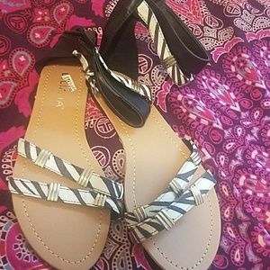 Zebra, black and gold sandals