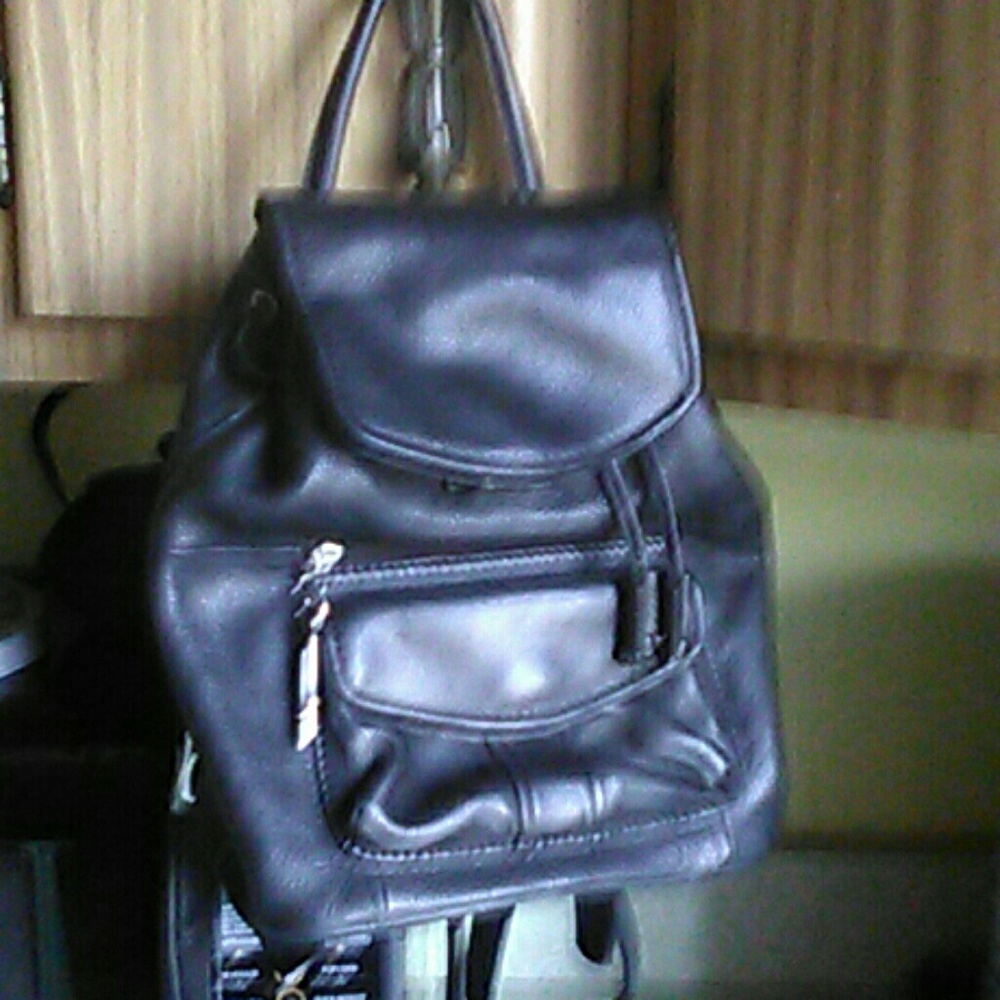 Fossil bookbag