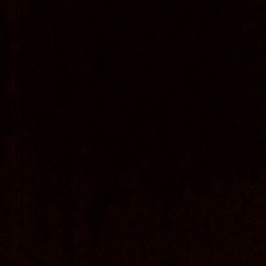 Meet your Posher, Diamond