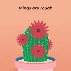 Meet your Posher, Brittney