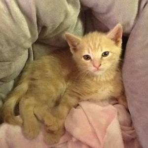 Meet your Posher, Ladonna