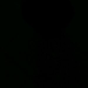 Meet your Posher, Gabriel