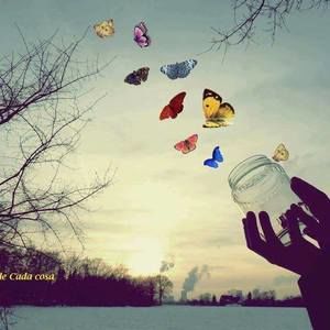 Meet your Posher, Nilsa cuca