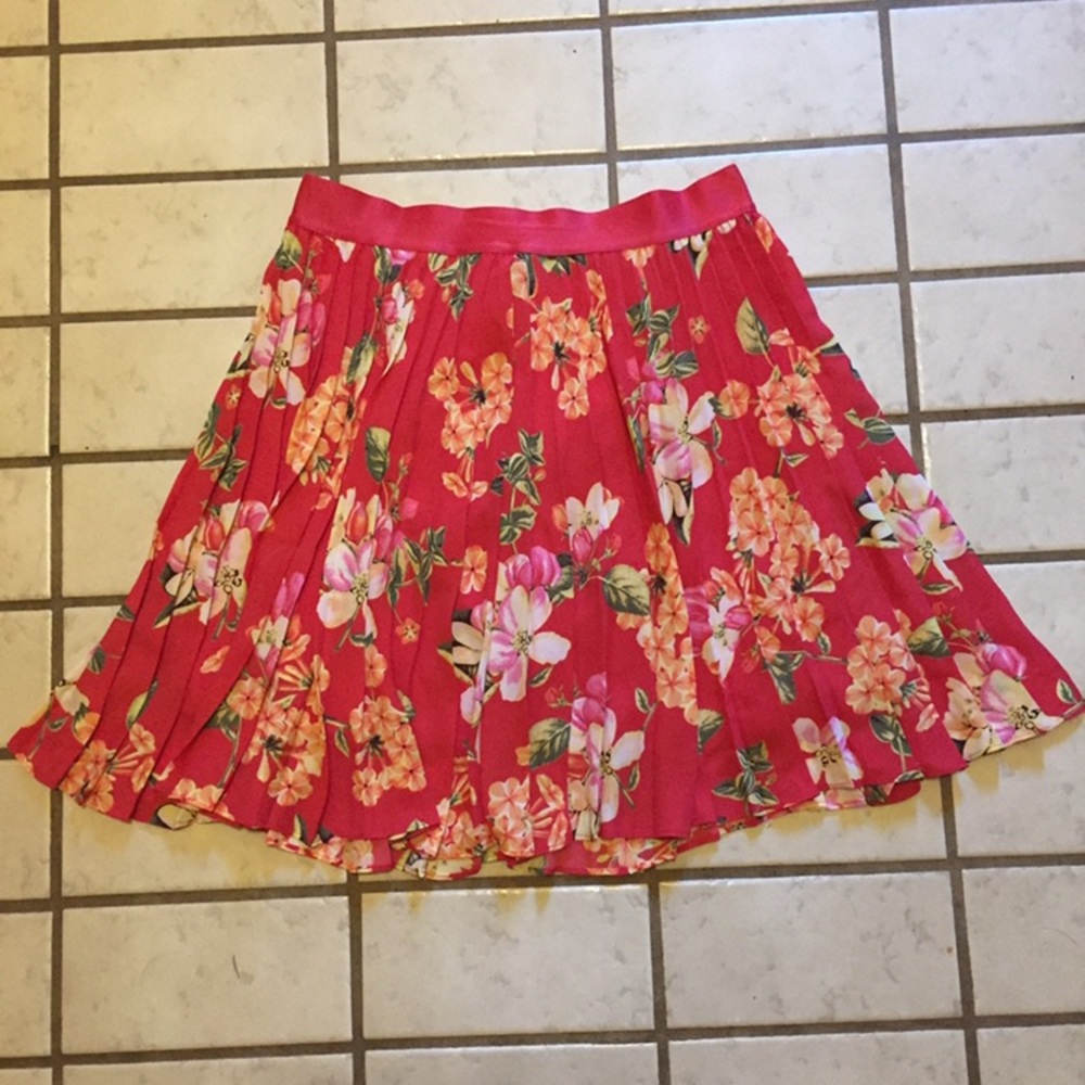 Express skirt