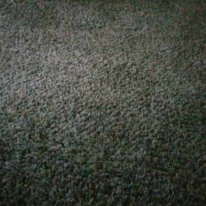 Meet your Posher, Bilkisu