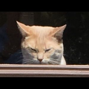 Meet your Posher, Joseph