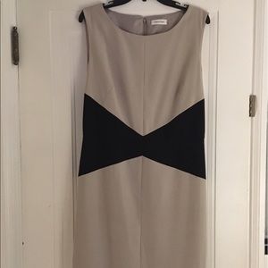 Calvin Klein Black & Tan Dress