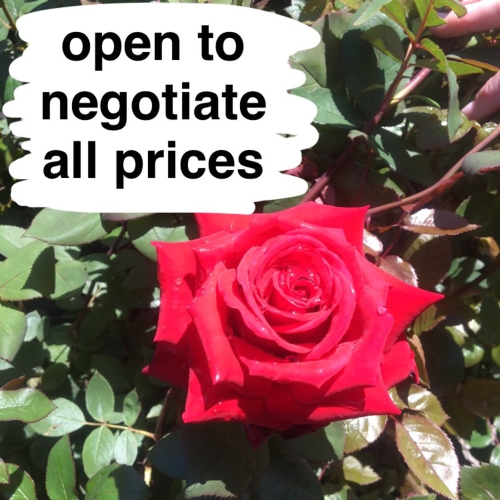 NEGOTIATIONS ARE GLADLY WELCOMED!!!