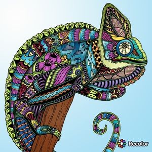 Meet your Posher, Annmarie