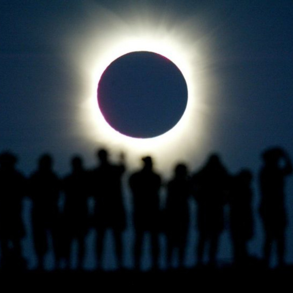 Meet your Posher, Becky - Picture 3 of 3