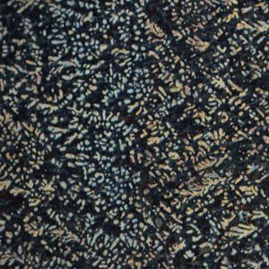 Meet your Posher, Kofi