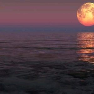 Meet your Posher, Yvette