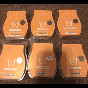 Scentsy Bars