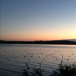 Meet your Posher, Macy