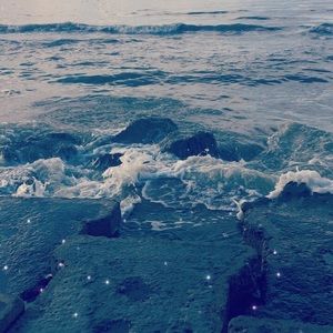 Meet your Posher, Brionna