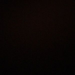 Meet your Posher, Irvin