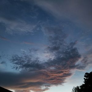 Meet your Posher, Kelley