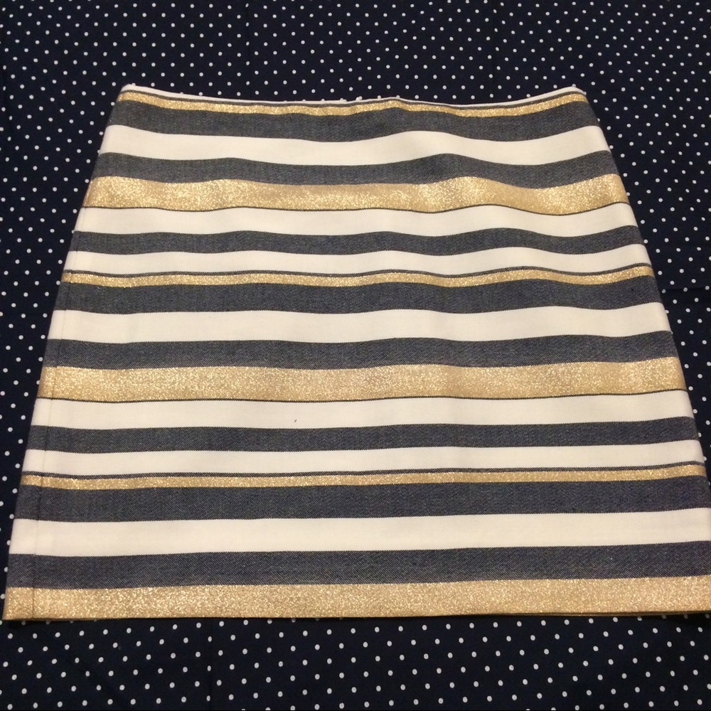 J. Crew Skirt